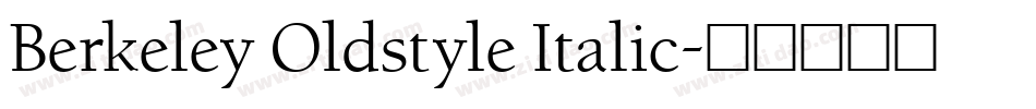 Berkeley Oldstyle Italic字体转换